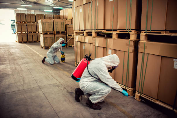 Best Ant Control Services  in Chesterton, IN