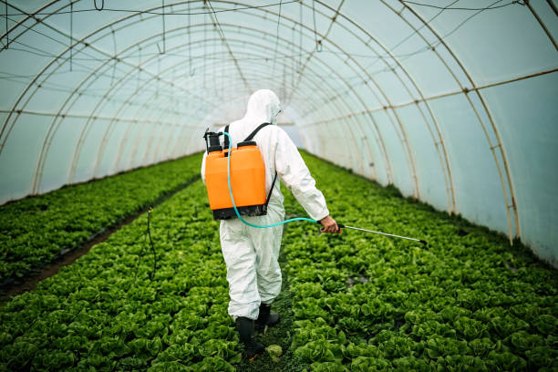 Best Mosquito Control Services  in Chesterton, IN