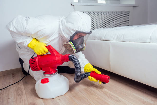Reliable Chesterton, IN Pest Control Solutions