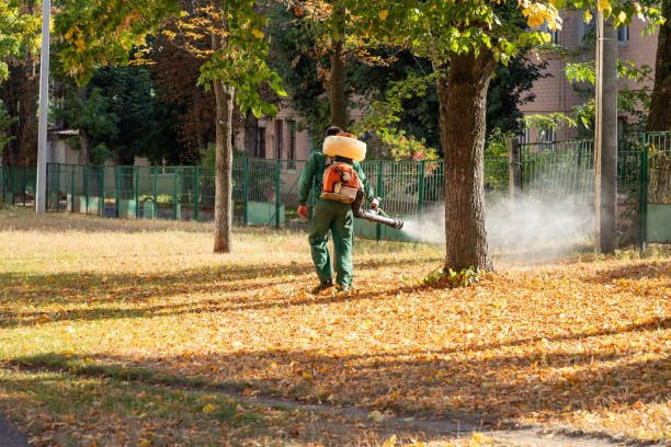 Best Pest Prevention Services  in Chesterton, IN