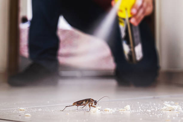 Best Cockroach Control Services  in Chesterton, IN