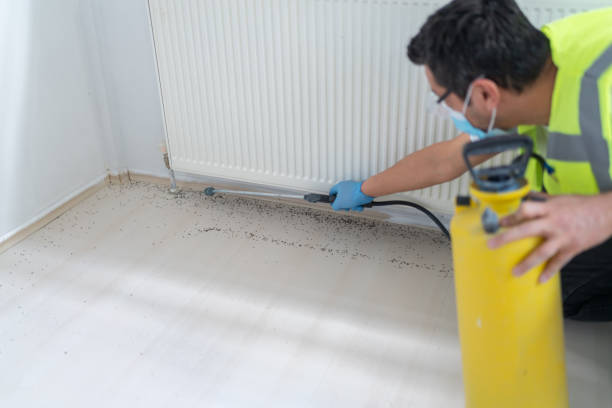 Best Best Pest Control Companies  in Chesterton, IN