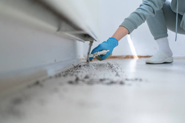 Best Wasp Removal Services  in Chesterton, IN